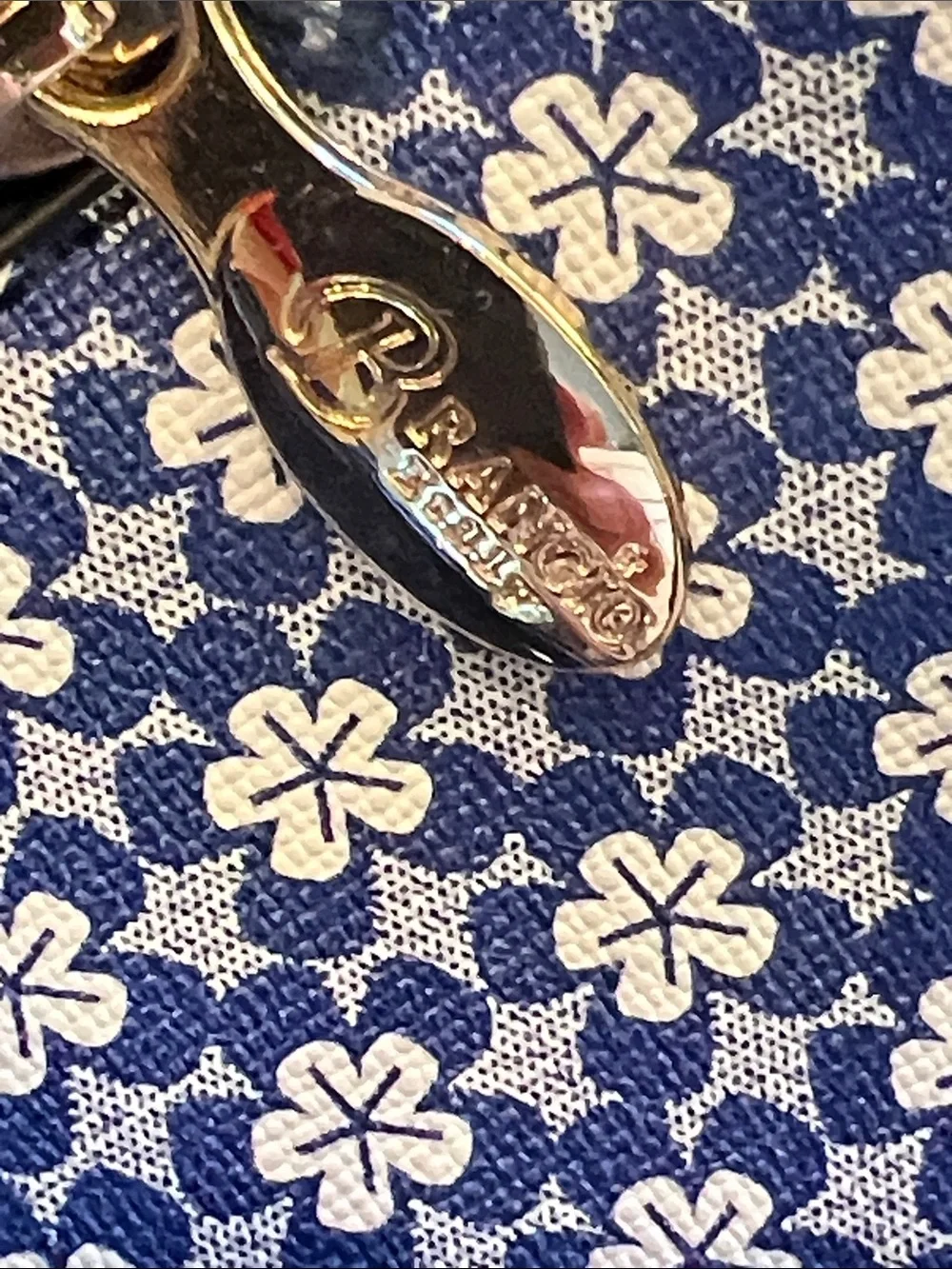 Brangio italy compact blue